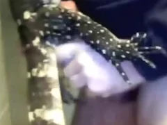Anal Zoofilia