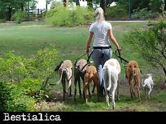Animal Porn