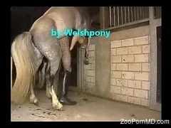Zoo Porn MD