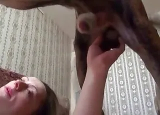 Dog loving cumshot session with happy animal