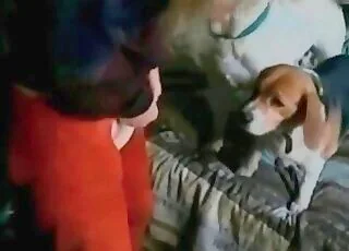 Fantastic Zoophile Movie Featuring White Dog Sex