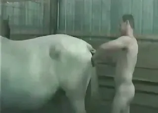 Ponies Fuck Asses Nonstop on Camera Zoo Sex HD Clips animal sex Tube