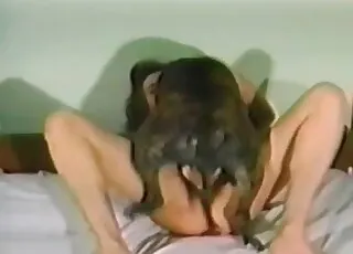 Busty brunette enjoys passionate doggy style sex with a dog