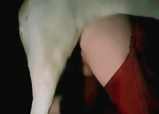 Lustful animal gets banged in hot zoo sex fetish video
