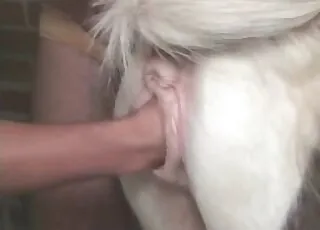 Stiff Penis Probes Pony Vagina in Awesome Fisting Scene