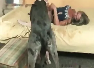Befuddled Canine Enjoying a Natural Sex Session