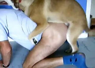 Zoophile enjoys licking animal butt in hot zoo sex scene
