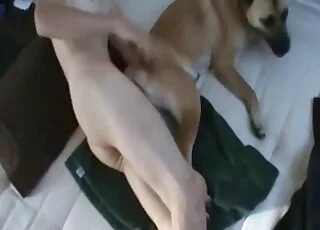 Adorable Animal Gets to Fuck in a Sideways Video