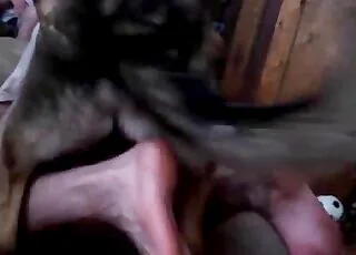 Awesome creature gets banged hard from behind zoo sex