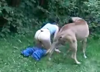 G-string babe seduces twisted pooch in outdoor zoo sex scene