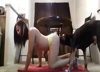 Sexy woman in green fishnets fucking a dog