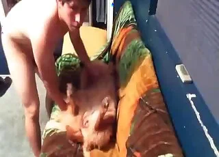 Male Assaulting His Canine in Intimate Zoo Sex Scene
