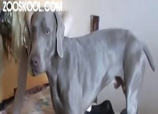 Hardcore animal sex with Busty Blonde