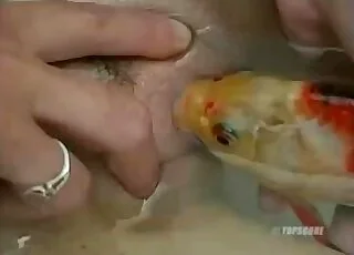 Sweet babe shoves huge fish in little vagina animal sex