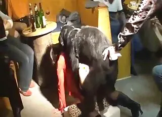 Beautiful Girl Sucking Dog's Wiener HD Zoo Sex Clip