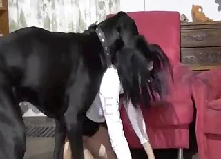 Flawless beast sex with a fantastic animal slut