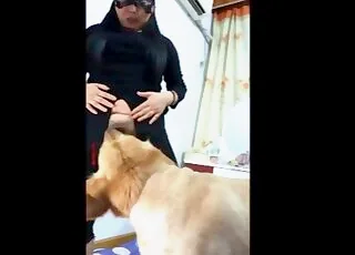Sweet dog enjoys a sensual and hardcore fuck
