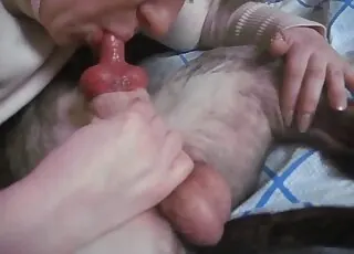 Aesthetic Mature Woman Swallows Huge Dog Dick