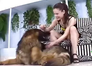 Brunette Spreads Legs For Hard Dog Sex In HD Zoo Tube animal sex Clip