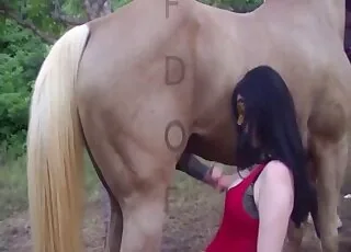 Pasty Brunette Worshiping Horse Dick HD Zoo Sex Clip