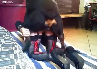 Fast Zoo Sex With Horny Zoophile: animal sex and Animal Porn HD Clips