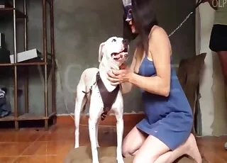 Leggy Brunette Enjoys Hot Zoo Sex in HD animal sex Tube HD Clips