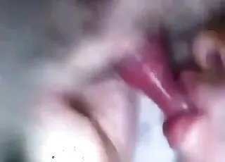 Amateur Red Dog Licking Penis Close Up Zoo Sex HD Clip