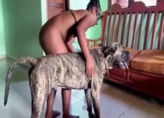 No holds barred animal sex with a brunette