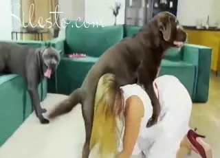 Blonde Woman Gets Fucked by Multiple Dogs