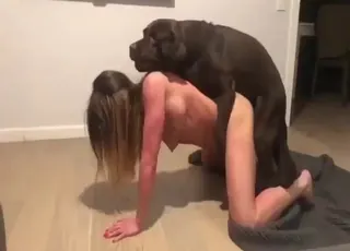 Leggy Brunette Zoophile Sex Tape with Animal