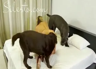 Stunning Blonde Gets Fucked by a Big Black Dog in HD