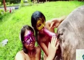 White Dog animal sex: Deep Gaping Hole HD Clip from Zoo Tube
