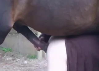 Horse Sex: Zoophile Achieves Wide Gape in Real Zoo Clip