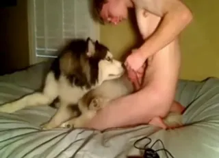 Man and his horny dog in a zoo sex scene. HD animal porn clip.