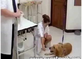 Big Cat Scat Sex Action HD Zoo Tube Clip