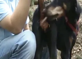 Curious Stepson Fucks Doberman Dog Anal in HD Zoo Sex Tube