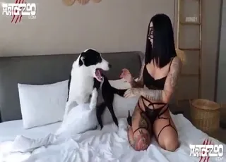 Black Lingerie Beauty Gets Railed by a Dog in Hot Zoo Sex Clip