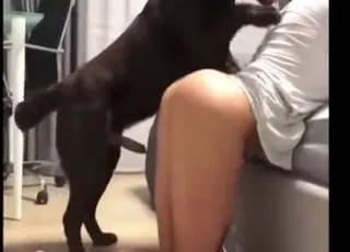 Amateur brunnete getting a big animal cumshot in the zoo