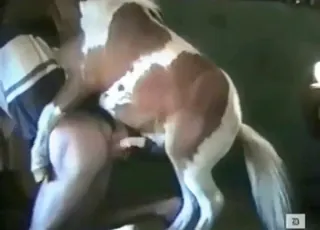 Man Spreads Pony Cheeks for Deep Inside Fuck