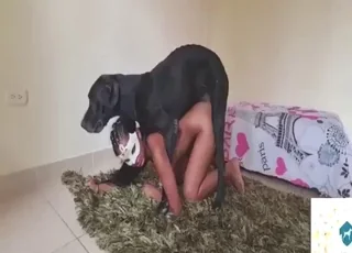 HD Gaping Sex Scene with Multiple Beautiful Women