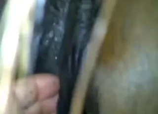 Wet Mare Fisting and Cumshot: Hot Zoo Sex HD Clip with Beautiful Horse