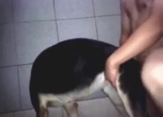 Thirsty Beast Gets Rough Backdoor Fuck Zoo Sex HD Clip