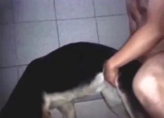 Thirsty Beast Gets Rough Backdoor Fuck Zoo Sex HD Clip