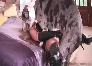 Hardcore doggy style nailing session with a dog in HD