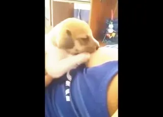 Busty Zoophile Lets Her Dog Drink Breast Milk