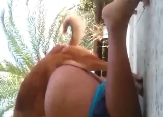 Horny Dog in Doggystyle animal sex Outdoors