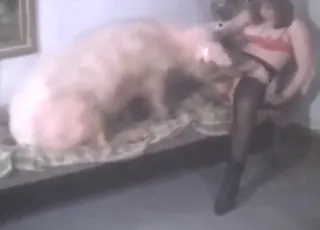 Happy Pig Gets a Boner and Rides a Hot Animal