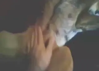 Zoophile Nip Play Leads to Orgasm in HD Zoo Sex Clip