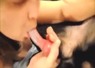 Stunning Babe Takes Dog's Cock Deep in Her Mouth