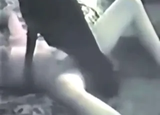 Retro leggy lady having sex with a dog in vintage clip